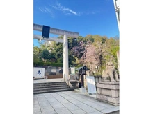 【東京都/港区赤坂】パレ乃木坂 乃木神社まで約８０ｍ