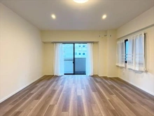 【東京都/中野区本町】ルーブル中野新橋 ＬＤＫ約１１．４帖