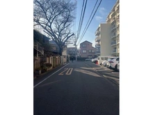 【東京都/中野区中野】中野ハイム 南側前面道路