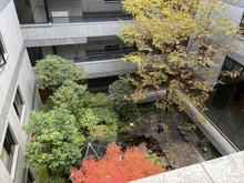 【東京都/新宿区市谷砂土原町】クレストコート砂土原 共用部分