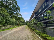 【京都府/京都市上京区寺町通広小路上る】イーグルコート京都御所梨木の杜 前面道路