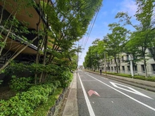 【京都府/京都市上京区寺町通広小路上る】イーグルコート京都御所梨木の杜 前面道路