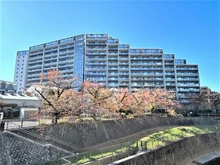 【東京都/板橋区加賀】シティテラス加賀 地上15階建て/総戸数385戸の大規模レジデンス