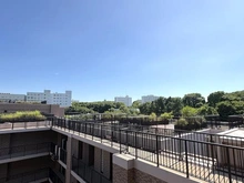 【神奈川県/横浜市保土ケ谷区常盤台】アンジュの丘横濱常盤台 南向き・角部屋・前建てがなく陽当たり＆通風良好！　※バルコニーからの眺望。