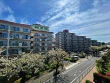 【東京都/練馬区関町南】Brillia　City三鷹サクラコート 