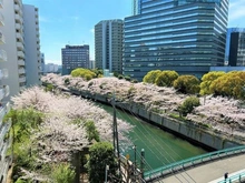 【東京都/品川区北品川】マンション御殿山 外観：春にはバルコニーから桜が望めます