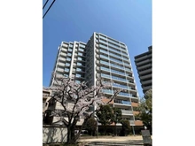 【埼玉県/川口市栄町】ブランズ川口栄町パークフロント 外観：総戸数81戸です。