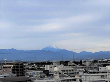 【東京都/三鷹市下連雀】ガーラ・レジデンス三鷹シャインパークス 空気の澄んだ日には富士山が見えます
