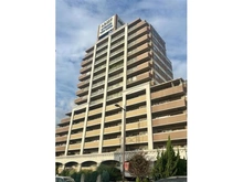 【大阪府/大阪市西淀川区花川】アリストリバーサイド・ビュータワー 外観：現地外観写真