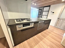 【大阪府/大阪市浪速区湊町】ローレルタワー難波 食器乾燥暖房機、浄水器付きのキッチンです。