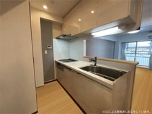 【東京都/大田区本羽田】レック東多摩川スカイハイツ1号館 