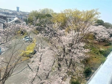【大阪府/箕面市粟生外院】箕面東コーポラスB棟 