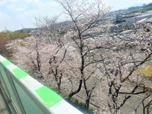 【大阪府/箕面市粟生外院】箕面東コーポラスB棟 