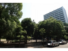 【大阪府/大阪市淀川区宮原】新大阪第1グリーンマンション 