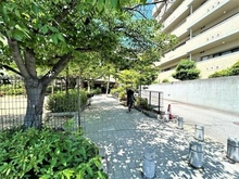 【兵庫県/西宮市丸橋町】藤和西宮北口ホームズ エントランスまでのアプローチは心地よく植栽が彩ります。