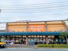 【千葉県/市川市幸】行徳南スカイハイツC棟 ワイズマートディスカ末広店（約680m）