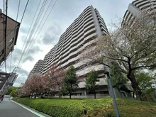 【埼玉県/富士見市ふじみ野東】シティヴェールふじみ野三番館 外観