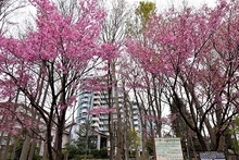 【東京都/小平市小川町】ガーデンハイツ小平2番館 