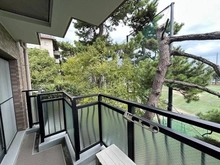 【兵庫県/神戸市東灘区魚崎北町】グラン・フェルティ東灘住吉川 東向きバルコニー