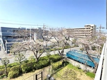 【東京都/江戸川区西葛西】ソフトタウン小島町 春には桜並木が見えます！