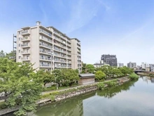 【東京都/江戸川区江戸川】江戸川ハイツ 外観：新川に面した緑溢れる佇まい