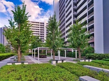 【東京都/江東区豊洲】東京フロントコート 敷地内