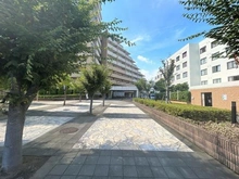 【大阪府/摂津市千里丘】サンメゾン千里丘 緑豊かな開放感のあるエントランスアプローチ
