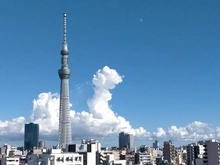 【東京都/台東区浅草】アデニウム浅草 