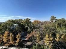 【愛知県/名古屋市東区徳川町】三井農林徳川園ハイツ 徳川園と隣接しており、バルコニーから徳川園が望めます！