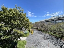 【神奈川県/横浜市中区根岸町】ハートビートベース横濱根岸 公園の緑を望む眺望