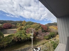 【滋賀県/大津市皇子が丘】シャリエ大津皇子が丘 紅葉の時期はとてもきれいです！