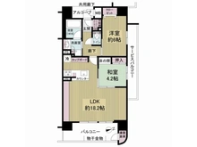 【兵庫県/神戸市中央区加納町】ラシュレ神戸三宮 間取り図