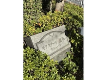 【東京都/墨田区立花】モア・ステージ墨田ラシェール マンション表札