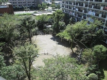 【東京都/江東区亀戸】日商岩井亀戸マンション 敷地内に大きな中庭があり、ゆったりとした時間を過ごせます。