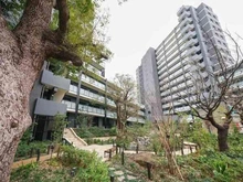 【東京都/板橋区大山町】ザ・パークハウス板橋大山大楠ノ杜 中庭