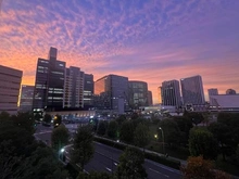 【神奈川県/横浜市西区みなとみらい】M.M.TOWERS FORESIS L棟 みなとみらいの夕景も存分に味わえる贅沢なお部屋です