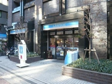 【東京都/文京区小石川】THE TOWER KOISHIKAWA  ローソン小石川一丁目店（現地より約5m）