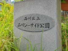 【東京都/品川区東品川】プライムパークス品川シーサイドザ・タワー 区立品川シーサイド公園（現地より約150m）