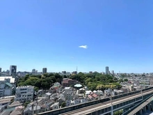【東京都/北区王子】ウィルローズ王子 桜や紅葉など、四季の移ろいを感じられる眺望です。空の青さと木々の緑のコントラストが印象的です。