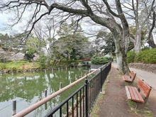 【東京都/大田区南千束】ザ・パークハウス洗足池桜山 洗足池公園／約160m