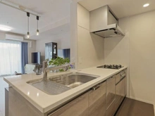 【愛知県/名古屋市中区錦】ザ・パークハウス名古屋伏見 ディスポーザー・食器洗い乾燥機・浄水器一体シャワー水洗設備あり