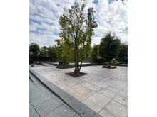 【東京都/新宿区市谷本村町】ザ・センター東京 敷地内公開空地