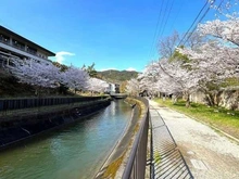 【京都府/京都市山科区御陵平林町】シャリエ京都山科 山科疎水／約30m