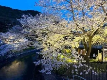 【京都府/京都市山科区御陵平林町】シャリエ京都山科 山科疎水／約30m