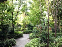 【千葉県/柏市豊四季台】オーベルグランディオ柏　桜ヴィラ 