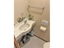 【千葉県/船橋市習志野台】ロイヤルシャトー習志野台 トイレ内の手洗い場です。