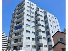 【東京都/足立区東和】東和ダイヤモンドマンション ペット飼育可能マンションです（使用細則あり）