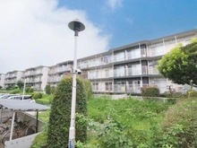 【神奈川県/横浜市旭区東希望が丘】希望ヶ丘グリーンハイツ 1981年11月築。総戸数51戸の3階建てマンションです。