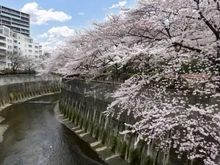 【東京都/板橋区板橋】板橋区板橋3丁目 古家付土地 