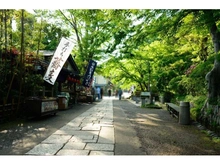 【東京都/調布市深大寺東町】調布市深大寺東町7丁目土地 